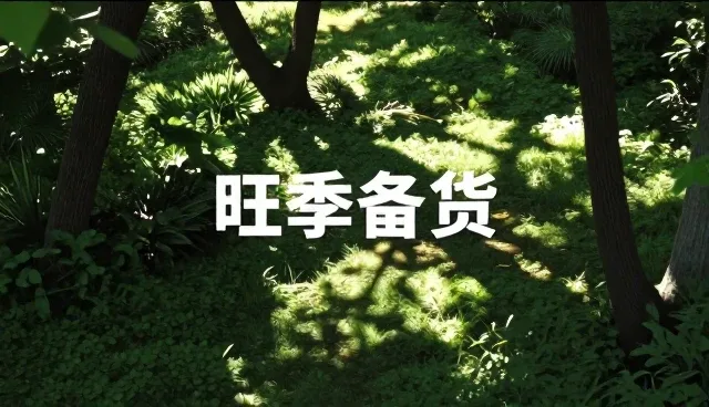 创意设计中的误区与正确理解方式